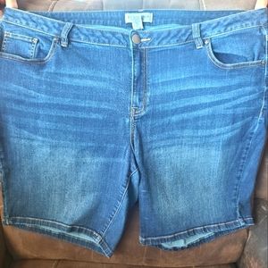 Lane bryant bermuda shorts